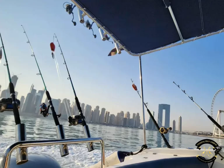 Gallery 10 A good view with the Dubai Jumeirah coastline.