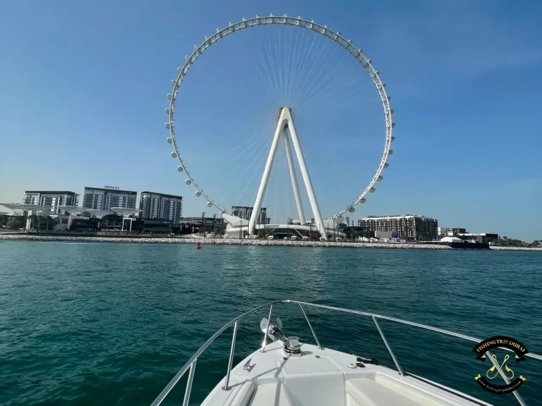 fishing trip Dubai Gulf Craft 36 FT