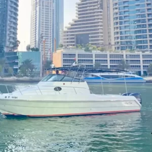 fishing trip Dubai Gulf Craft 31 Ft featured image