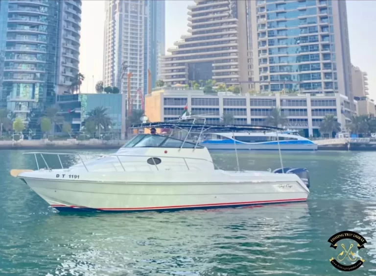 fishing trip Dubai Gulf Craft 31 Ft