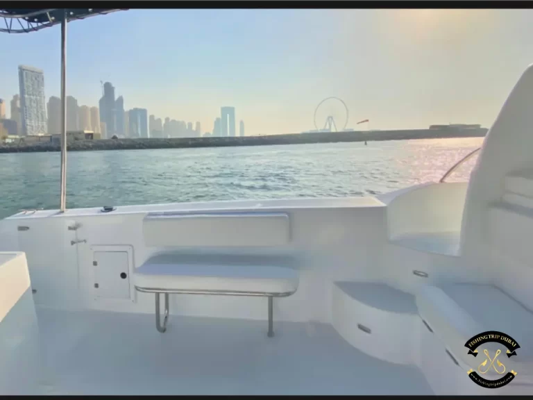 fishing trip Dubai Gulf Craft 31 Ft