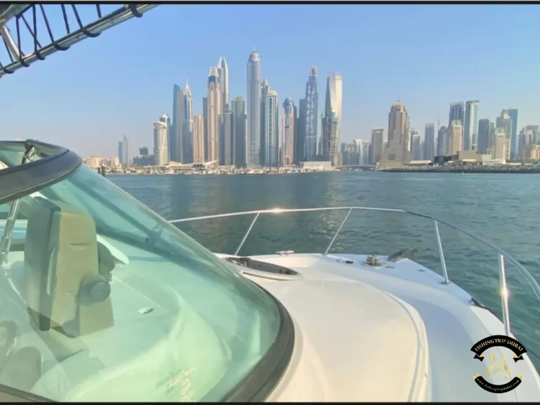 fishing trip Dubai Gulf Craft 31 Ft
