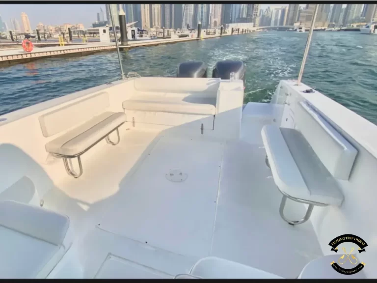 fishing trip Dubai Gulf Craft 31 Ft