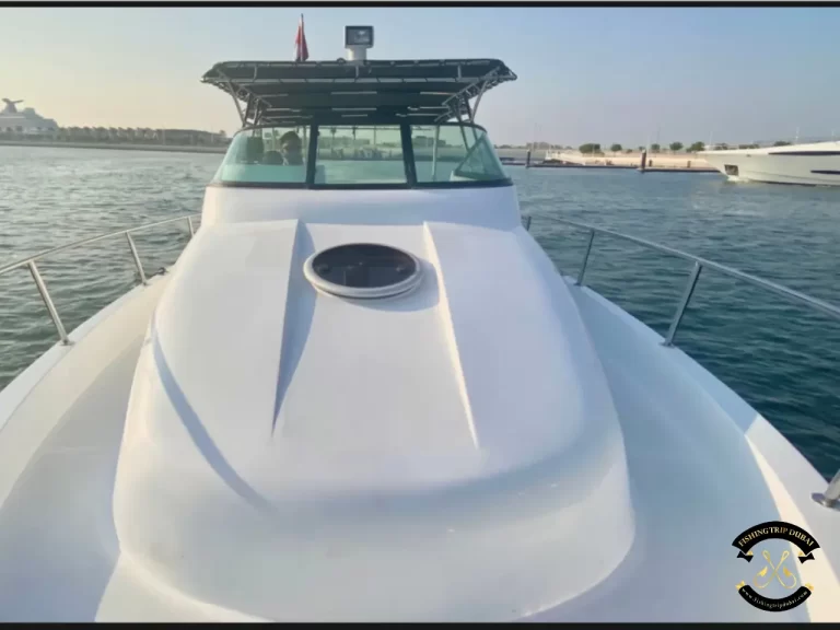 fishing trip Dubai Gulf Craft 31 Ft