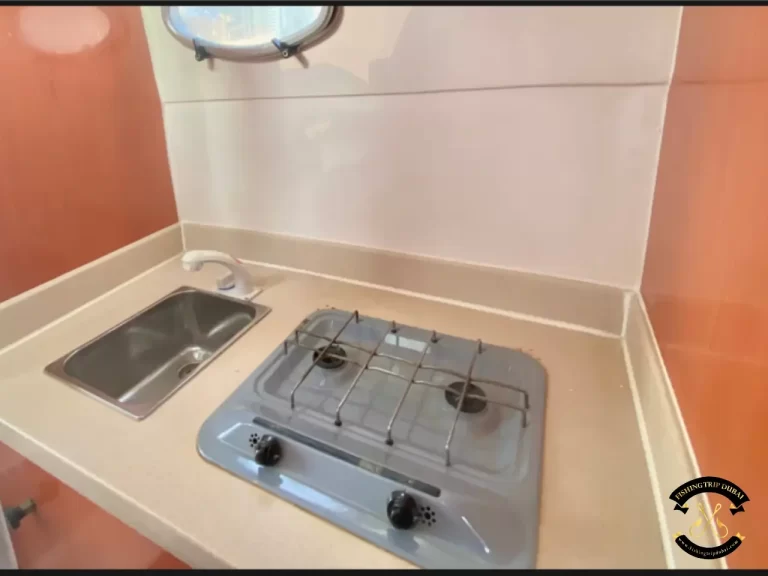 fishing trip Dubai Gulf Craft 31 Ft