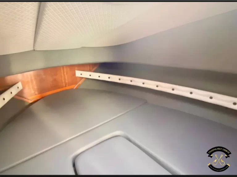 fishing trip Dubai Gulf Craft 31 Ft