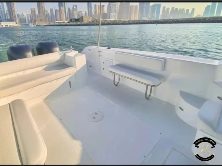 fishing trip Dubai Gulf Craft 31 Ft
