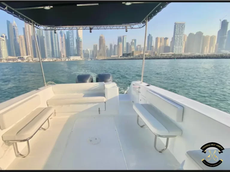 fishing trip Dubai Gulf Craft 31 Ft