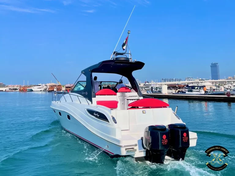fishing trip Dubai Oryx 36 FT
