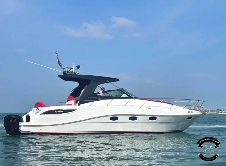 fishing trip Dubai Oryx 36 FT