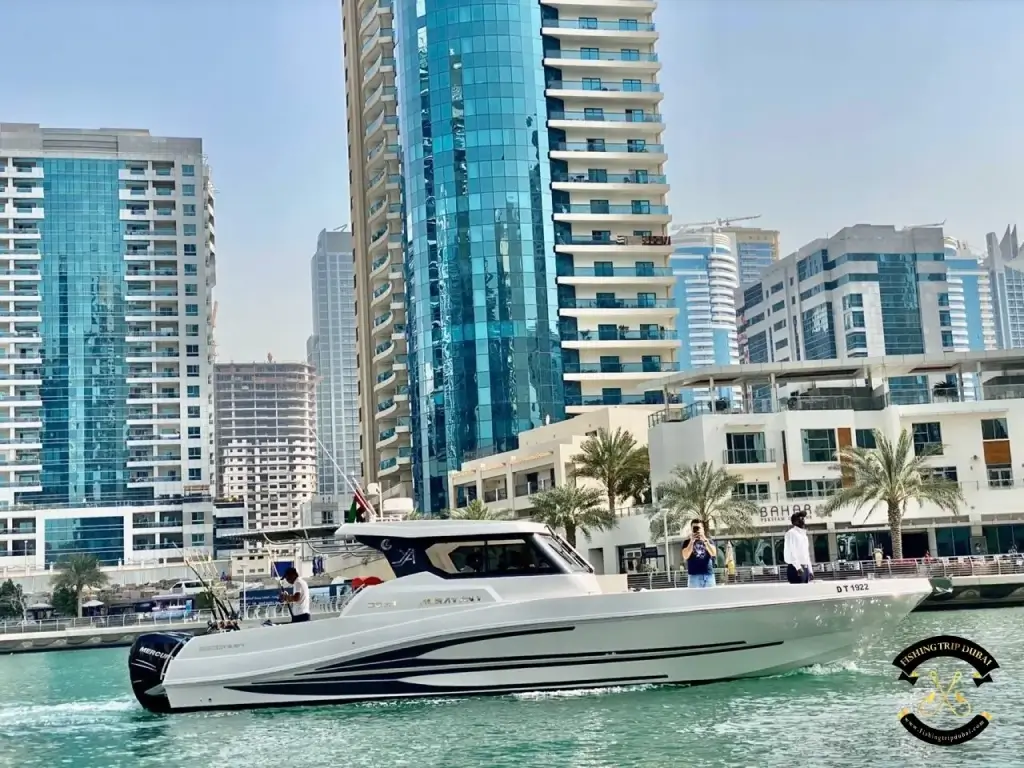 fishing trip Dubai Silvercraft 36 FT featured image
