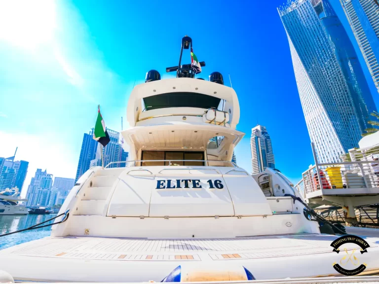 fishing trip Dubai. Sunseeker 70 ft lower back side of the boat.